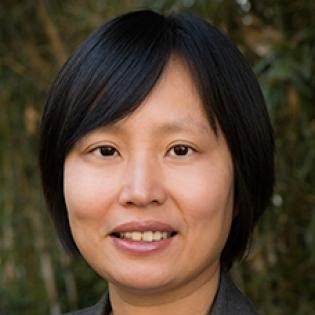 LiYing Cai, M.D., Ph.D.